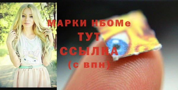 индика Алзамай