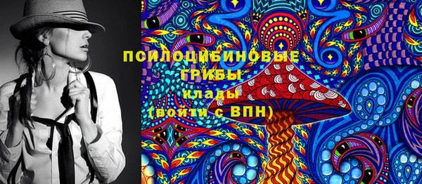 индика Алзамай