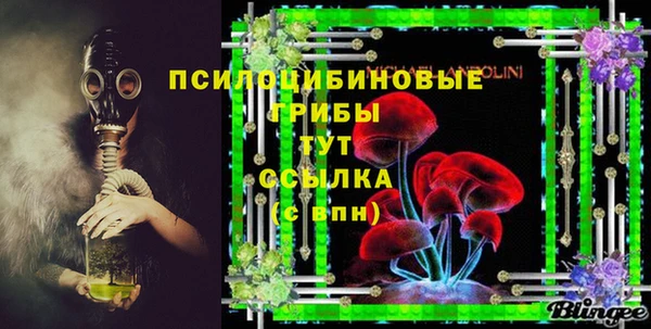 индика Алзамай