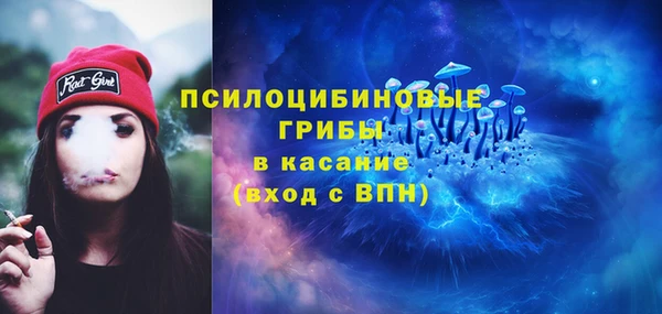 индика Алзамай